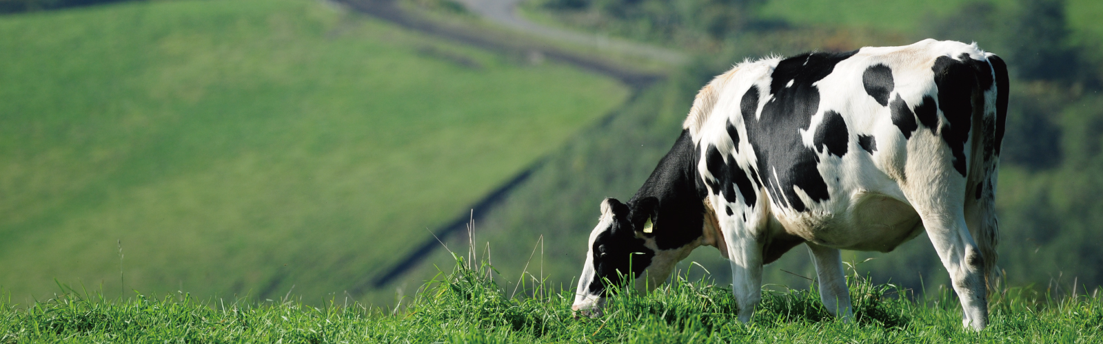 第５４回家畜人工授精・繁殖技術発表全国大会