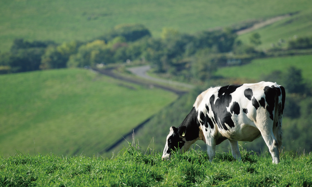 第５４回家畜人工授精・繁殖技術発表全国大会